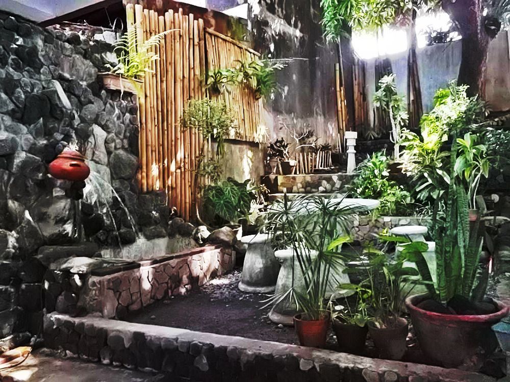 Balay De La Rama Bed & Breakfast Legazpi Εξωτερικό φωτογραφία